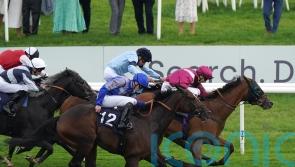 Fellowes hoping sky is the limit for Atrium in the Lincoln