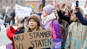 Swedish court allows activists to sue state over climate policy