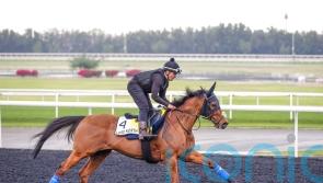 Lord North leading Gosden team on glittering World Cup night card