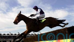Tributes paid to Cheltenham Gold Cup hero Kicking King