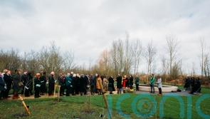 New national memorial unveiled on third anniversary of first UK Covid lockdown
