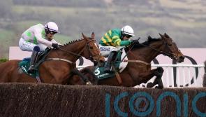 RACING: Cheltenham victor's recovery key to Punchestown outing, says south-east handler