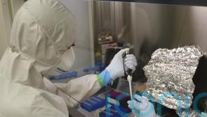 Scientists sequence Beethoven’s genome using locks of his hair