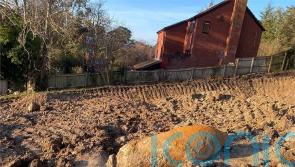 Insurer wins court fight over refusal to pay for Second World War bomb damage