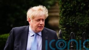 No 10 staff wouldn’t swap pens but happy to pass drinks, says Johnson