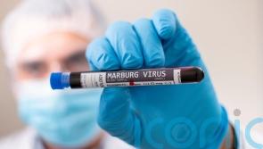 Equatorial Guinea confirms eight new cases of Marburg virus