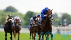 Noble Style to test Guineas aspirations in Greenham