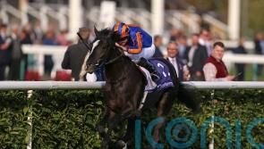 Auguste Rodin set to stretch his legs after racing at the Curragh