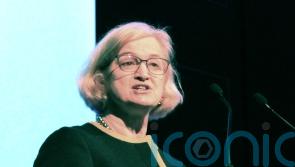 Stopping school inspections not in children’s best interests, says Ofsted chief