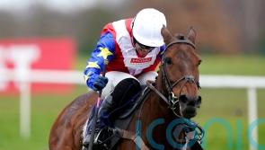 Williams looking to Moviddy to make Grade Two leap at Newbury