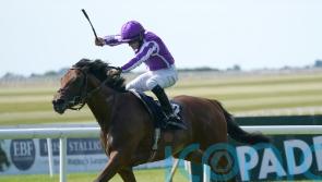 Cairo taking Mendelssohn route to possible Kentucky challenge