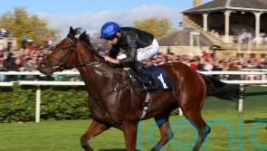 Boughey looking to Totally Charming for first winner in Ireland