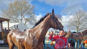 Kestrel hits Hereford target after pre-race drama