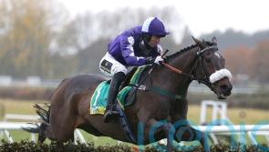 Lone Star proves apt winner of Lady Buttons heat for Phil Kirby