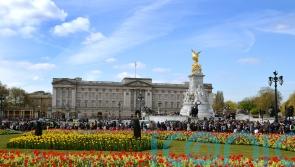 Changing the clocks keeps team of heritage experts busy at Buckingham Palace