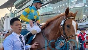 Derma Sotogake roars into Kentucky Derby reckoning