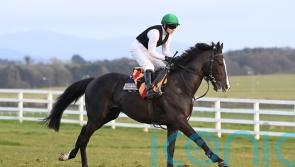 Auguste Rodin and Little Big Bear on track for Newmarket