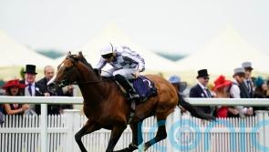 Ascot next for Dubai Gold Cup hero Broome