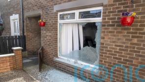 Police investigate potential link between attacks