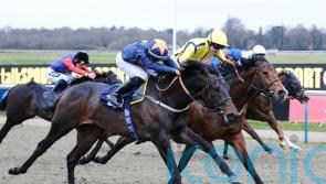 Smart James Tate performers all set for action this week