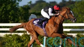O&rsquo;Brien shuffling long-distance pack in wake of Kyprios setback