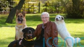 Paul O’Grady a ‘champion for the underdog’ – Battersea Dogs and Cats Home