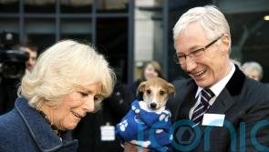 Camilla’s ‘waggy-tailed memories’ amid sadness at friend Paul O’Grady’s death