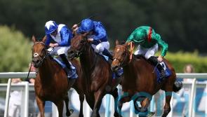 Ganay set to stage heavyweight clash between Vadeni and Luxembourg
