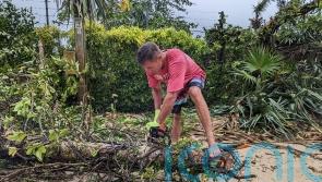 UN adopts ‘historic’ resolution on legal obligations to fight climate change