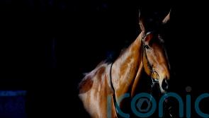 Dance ‘incredibly proud’ of Bravemansgame’s Cheltenham defeat