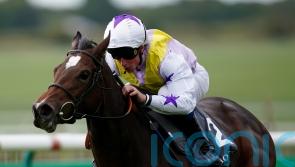 Trial run key to Lezoo’s Classic aspirations