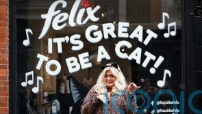 Gemma Collins helps launch London cafe encouraging people to be more like cats