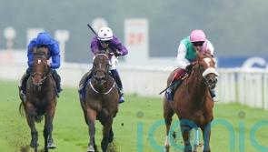 Indestructible another added to growing Greenham list