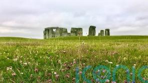 Meadows to be established at historic English sites to mark King’s coronation