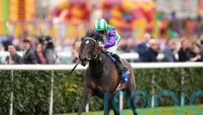 Vadream dominates Cammidge Trophy rivals