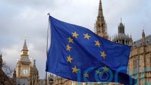 No plans to delay EU laws ‘bonfire’ deadline, says Government