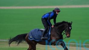 Shishkin ready to step up in Aintree Bowl