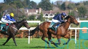 Story stakes Guineas claim with Leopardstown Trial triumph
