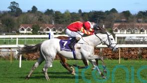 Outsider White Birch surprises Ballysax rivals