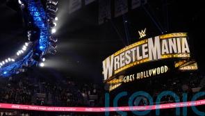 UFC and WWE combine to create £17.3bn sports entertainment company