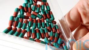 Antibiotics and resistance ‘two-way street’ between animals and humans – study