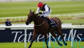 Homeless Songs returns to the fray at Leopardstown