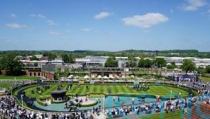Anamoe adds potential sprinkle of stardust to Lockinge