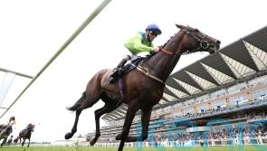 Subjectivist taking direct path to Ascot Gold Cup