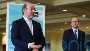 Tanaiste appoints chair of new oversight body for Defence Forces