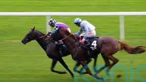 Philippart De Foy has plenty to look forward to with El Habeeb