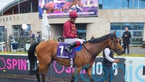 Buckaroo foils Homeless Songs in Leopardstown thriller