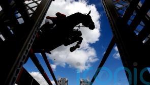 Bullying and racialised experiences emerge in report into British equestrianism