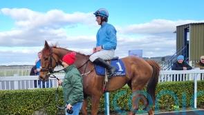 Fencing plans for Corbetts Cross next season after Festival exit