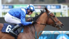 Manaafith carrying high hopes of maintaining unbeaten all-weather record